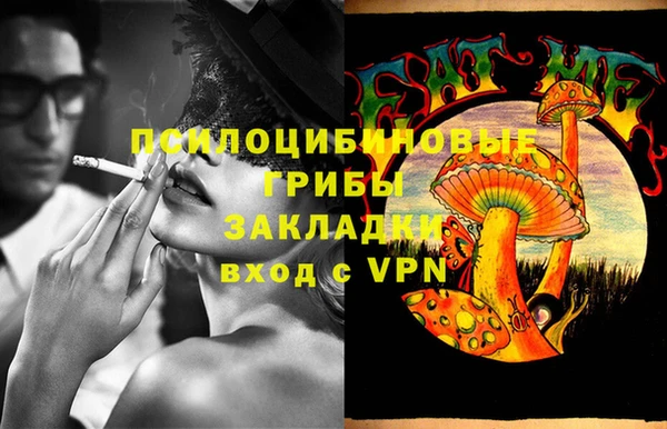 мет Алексин