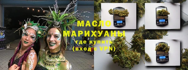 мет Алексин