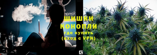 мет Алексин